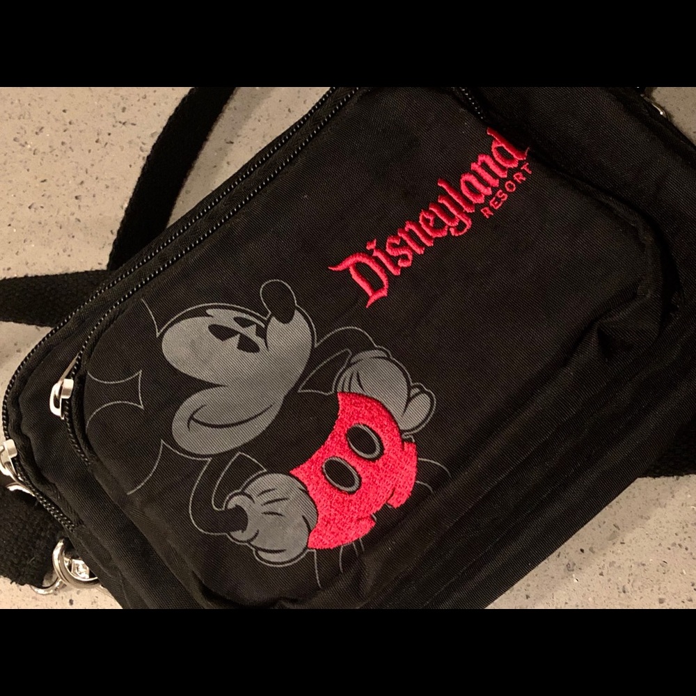 Disneyland purse/Fanny pack
